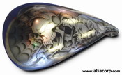 ALSA CHROME PAINT IS USED WITH THIS PRODUCT