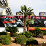 SEMA 2007