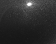 dts-124