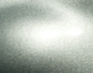 dts-131