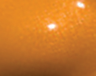 dts-141