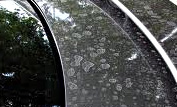 alsa refinish water spots